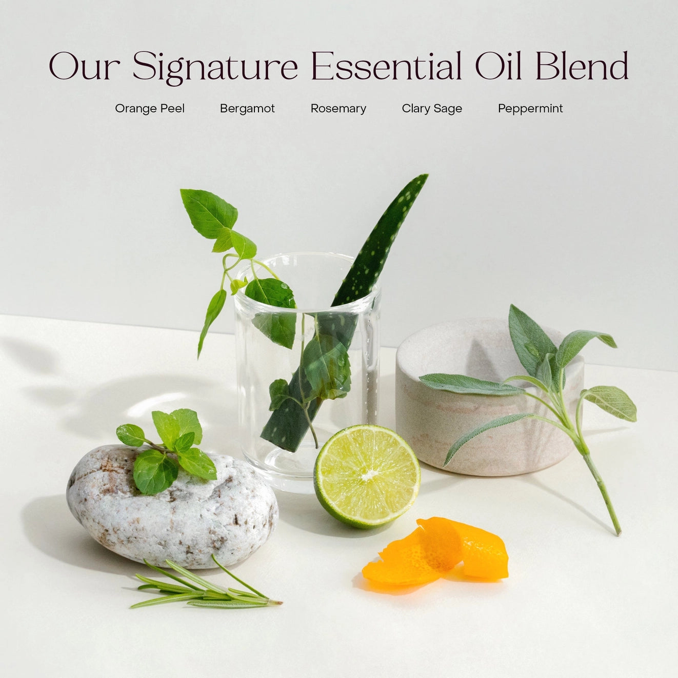 Everist Duo soins capillaires de voyage