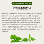 Rthvi huile naturelle pour la croissance des cheveux - 60ml