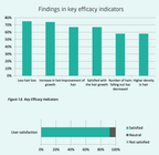 Neoffolics lotion stimulante pour la croissance des cheveux