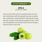 Rthvi huile naturelle pour la croissance des cheveux - 60ml