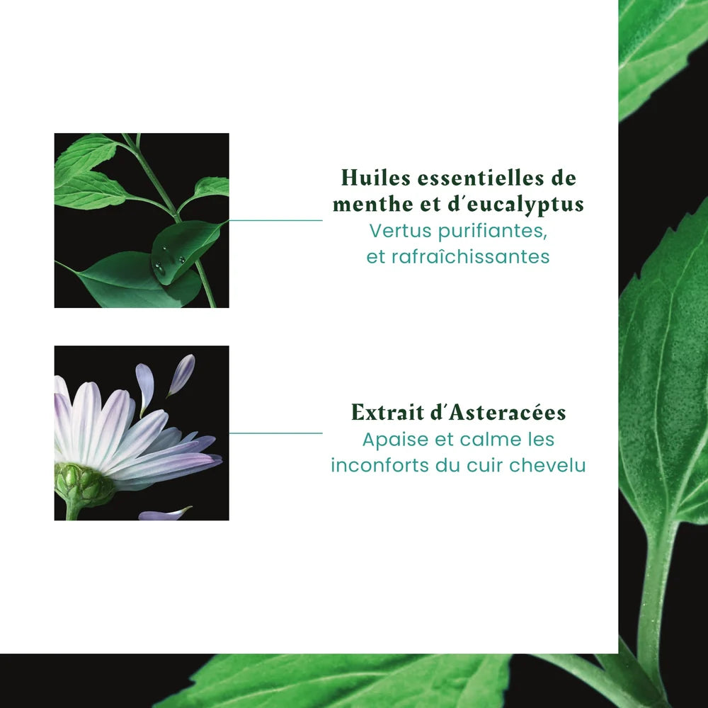 René Furterer Astera Fresh Shampoing Apaisant Fraîcheur aux Huiles Essentielles - 200 ml