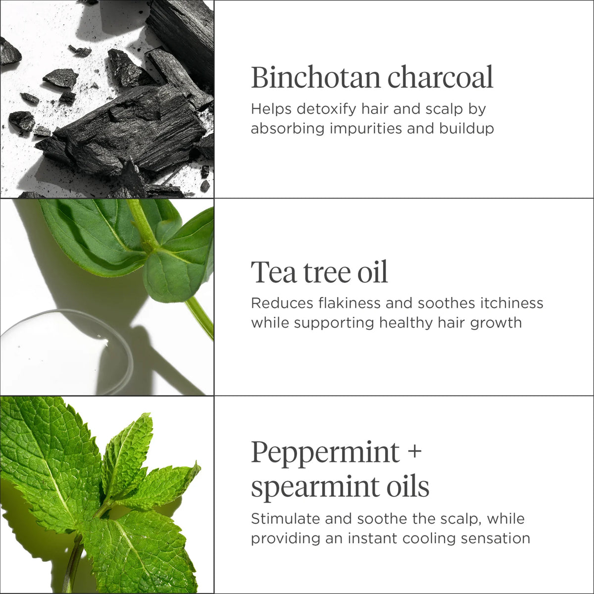 Briogeo Masque Hydratant et Rafraîchissant Charbon et Arbre à Thé Scalp Revival - 177 ml